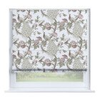 Гордые павлины