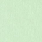 Эко, салатовый 27